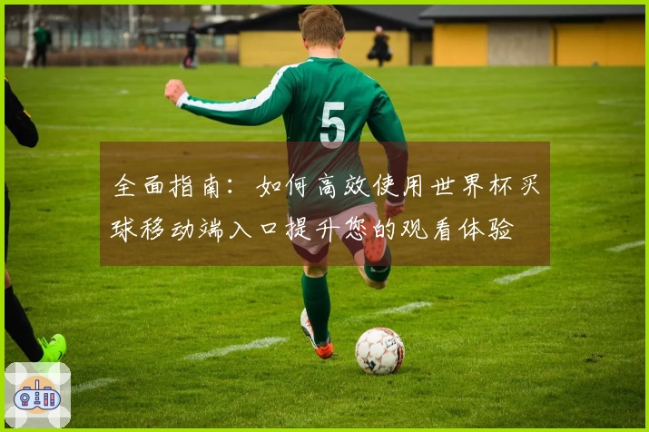 全面指南：如何高效使用世界杯买球移动端入口提升您的观看体验