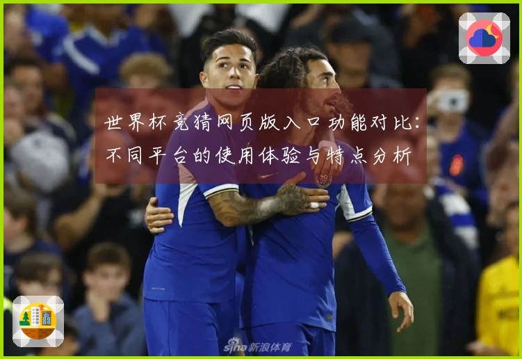 世界杯竞猜网页版入口功能对比：不同平台的使用体验与特点分析
