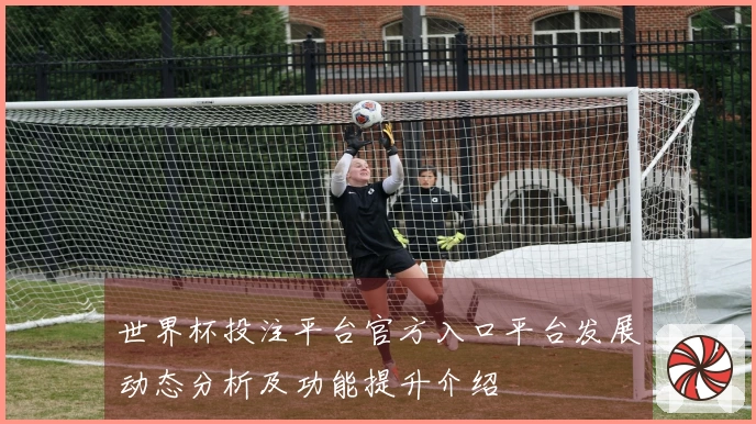 世界杯投注平台官方入口平台发展动态分析及功能提升介绍