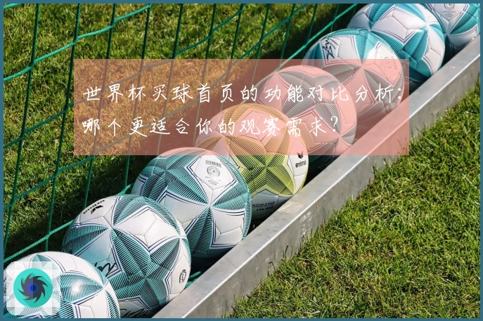 世界杯买球首页的功能对比分析：哪个更适合你的观赛需求？