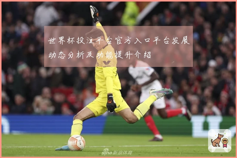 世界杯投注平台官方入口平台发展动态分析及功能提升介绍
