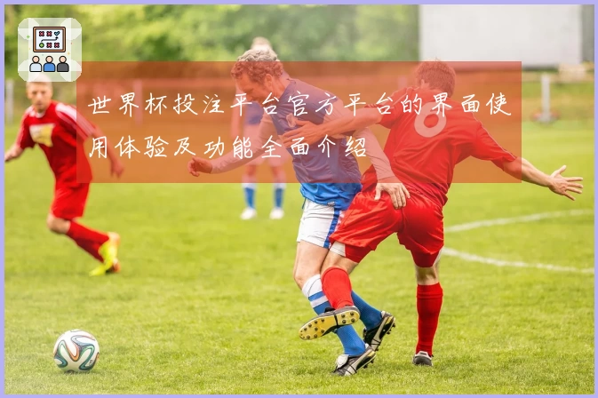 世界杯投注平台官方平台的界面使用体验及功能全面介绍