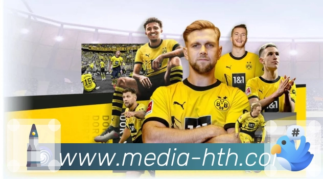 <strong>华体会</strong>App 切换示例图